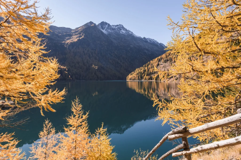 Colori d'autunno